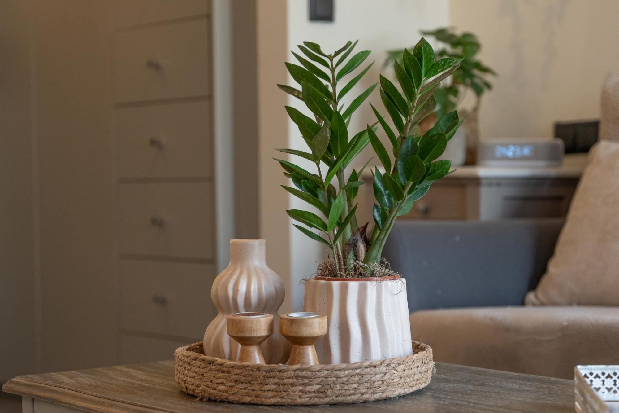 Ixia Home 외부 사진